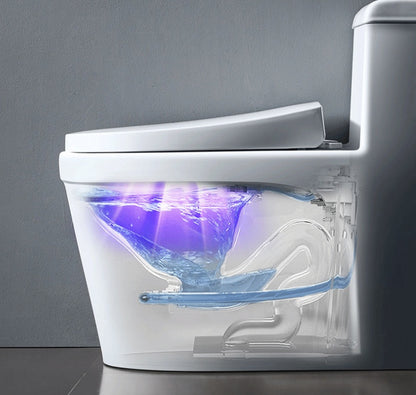 Inodoro Purificador de Ozono Ultravioleta para el Hogar