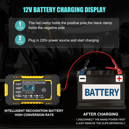 Pulse Charger