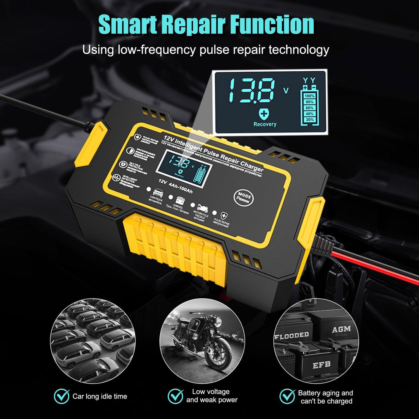 Pulse Charger