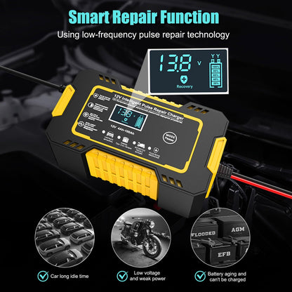 Pulse Charger