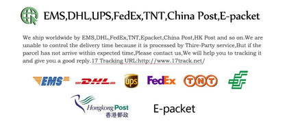 Limpiador a vapor de alta temperatura para esterilizar aire acondicionado, campana y coche — 110V (enchufe US) / 220V (enchufe EU)