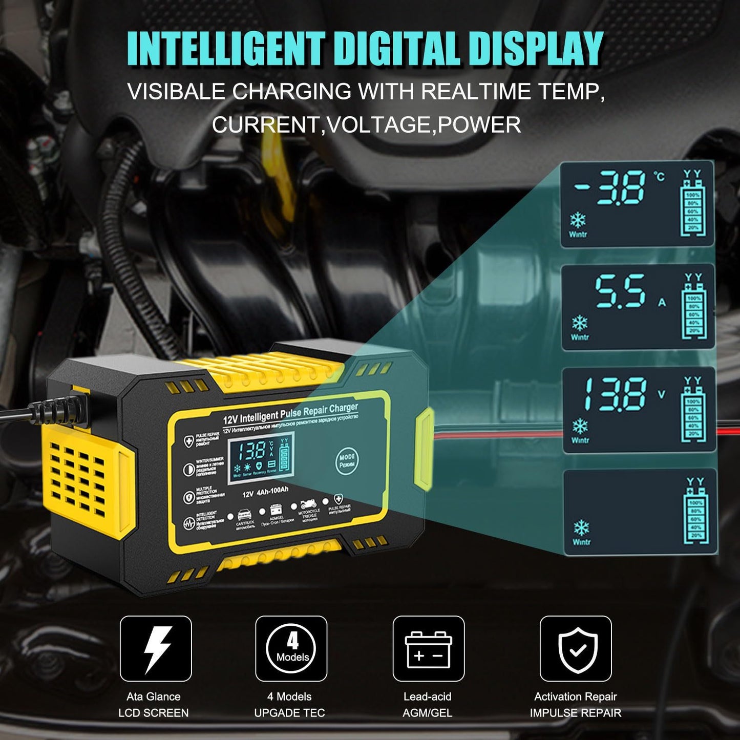 Pulse Charger